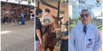 Cuando la Salud se Viste de Magia: El Día de la Fantasía en el San José