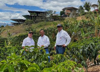 Del Campo a la Cosecha: La Federación Impulsa el Desarrollo Cafetero en Florencia