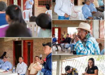El Café del Cauca: Un Modelo de Gestión Comunitaria y Futuro