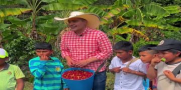 La Taza que Conecta: El Café del Cauca, un Proyecto Educativo con Aroma Global