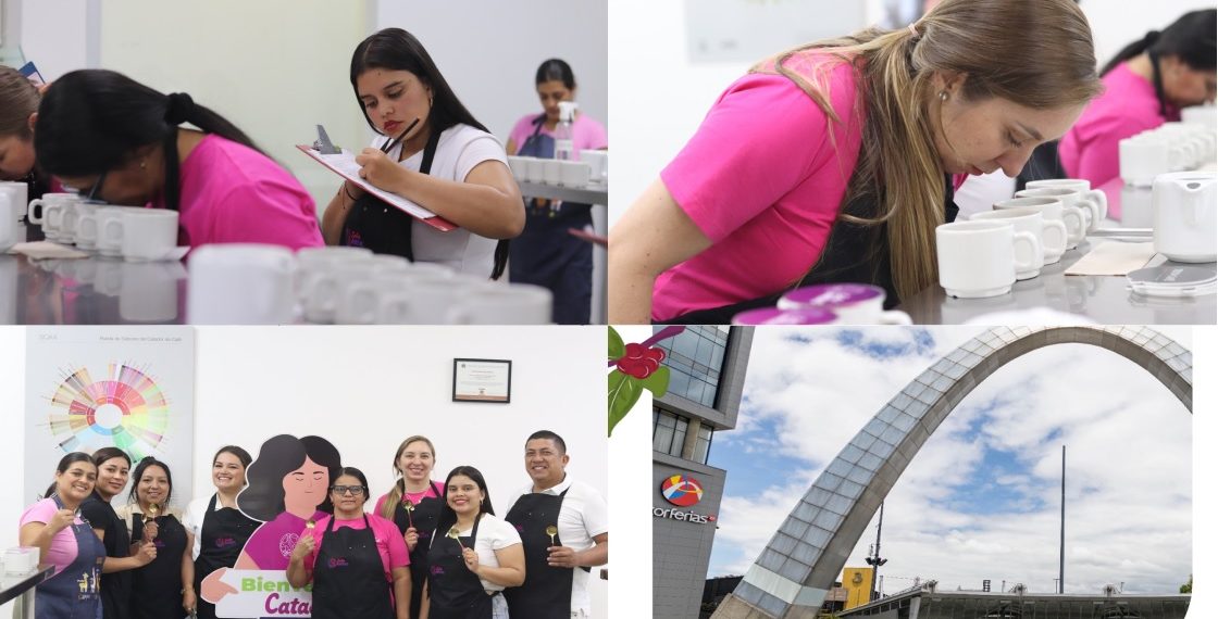 El Alma del Cauca en Cada Taza – Rumo a Cafés de Colombia Expo 2025