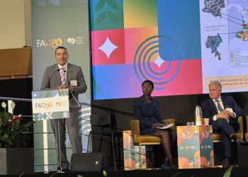 El Café: Semilla de Inversión y Dignidad para el Cauca