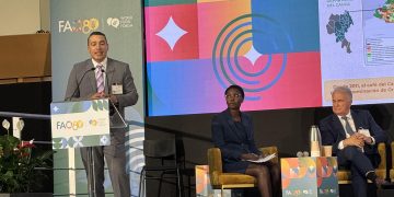 El Café: Semilla de Inversión y Dignidad para el Cauca