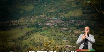 De Jambaló a África: El Café que Teje Historias de Paz y Esfuerzo