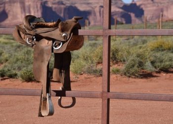 *¡No Hay Que Ensillar el Caballo Antes de Comprarlo!*