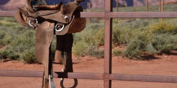 *¡No Hay Que Ensillar el Caballo Antes de Comprarlo!*