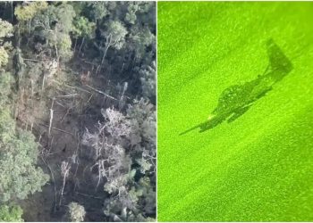 El Dolor Olvidado: Cuando los Niños se Convierten en Moneda Política