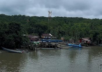 La Cultura como Cimiento de Paz en el Pacífico Caucano