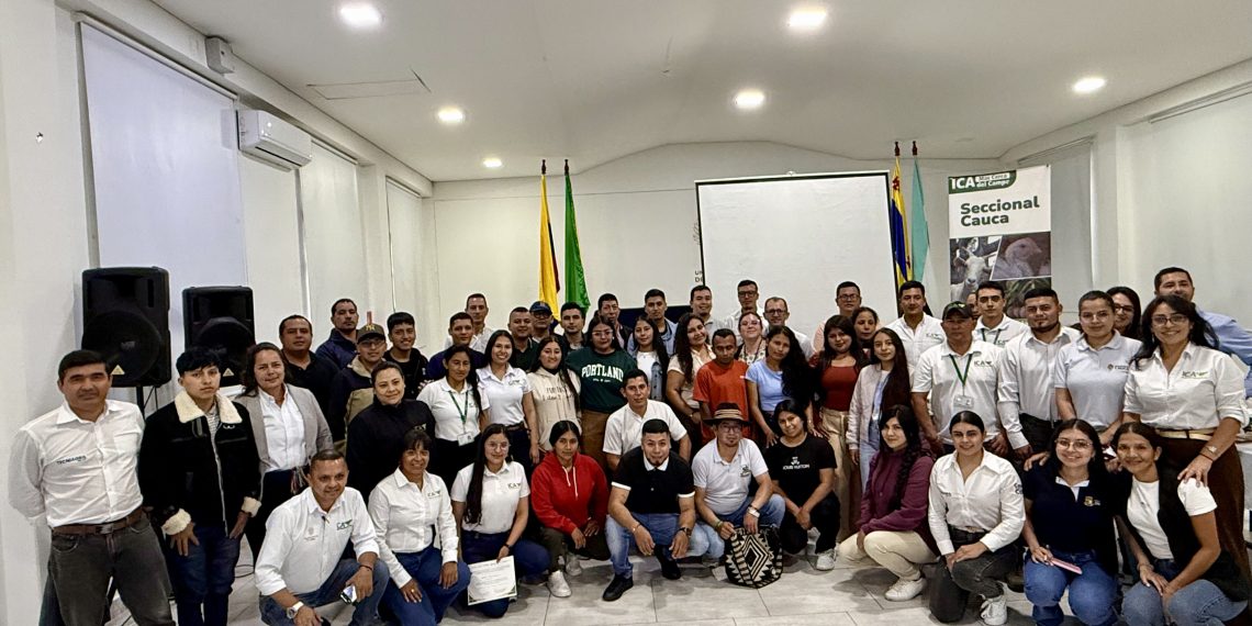 ¡Alerta en los Andes! La Punta Morada Amenaza la Papa Caucana