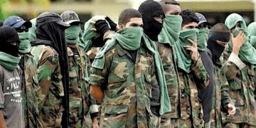 Crece la Amenaza: Colombia en la Encrucijada de la Violencia Organizada