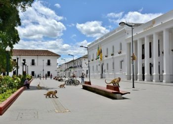 *Infidelidad Política a la Luz del Parque Caldas: Cuando el Secreto es un Secreto a Voces*