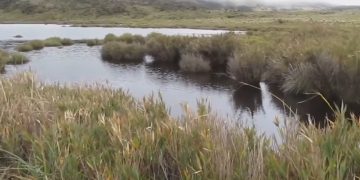El Cauca, Cuna de Vida: Por la Defensa del Agua y la Promesa de Seguridad