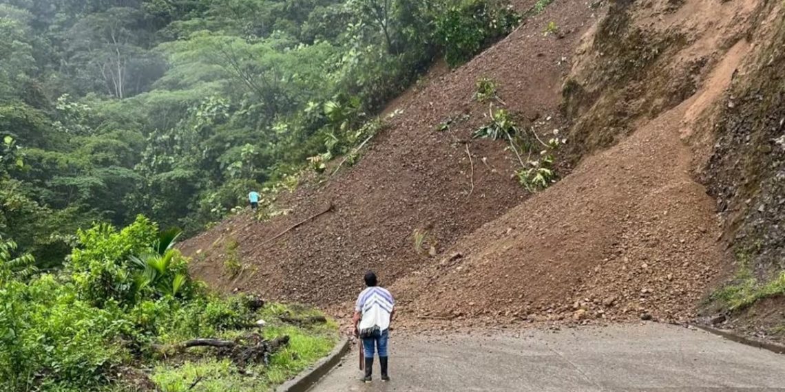 El Derrumbe de la Navidad: La Fragilidad de Nuestra Conexión Terrestre