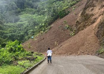 El Derrumbe de la Navidad: La Fragilidad de Nuestra Conexión Terrestre