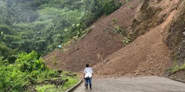 El Derrumbe de la Navidad: La Fragilidad de Nuestra Conexión Terrestre