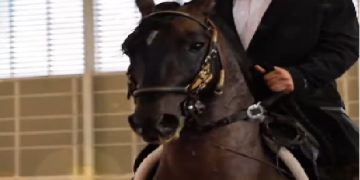 La Feria Multigremial del Cauca, un Espejo de Nuestro Espíritu Productivo