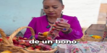 Sembrar Apoyo, Cosechar Futuro: La Vitalidad del Mercado Campesino en el Cauca