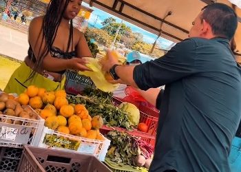 El Campo Caucano, Corazón de Nuestra Mesa: Un Llamado a la Solidaridad y el Desarrollo