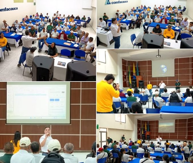 La Ruta del Café Patiano: Sostenibilidad y Empoderamiento desde la Base