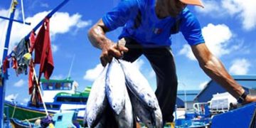 Fortaleciendo la Pesca Artesanal en el Cauca