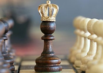 De la Base a la Cima: El Filtro Necesario para la Política