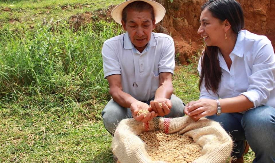 El Cauca no se fumiga, se cultiva: Una apuesta por la vida