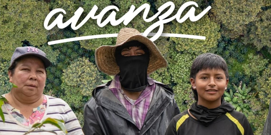 Cauca: El Corazón que Bombea el Café de Colombia