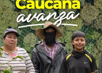 Cauca: El Corazón que Bombea el Café de Colombia