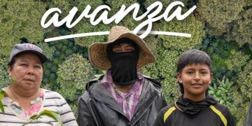 Cauca: El Corazón que Bombea el Café de Colombia