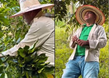 El Candidato que no Olvida el Surco ni el Tablero