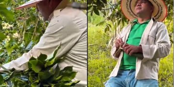 El Candidato que no Olvida el Surco ni el Tablero