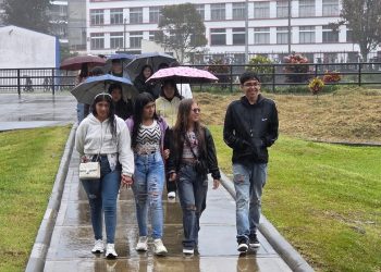 El Brillo de la Academia: Más Allá del Horizonte Gris