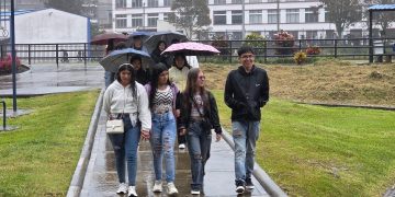 El Brillo de la Academia: Más Allá del Horizonte Gris