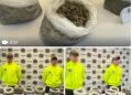 Golpe al microtráfico en Popayán: Cae centro de acopio de marihuana en Los Sauces