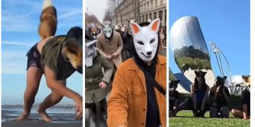 Identidad animal o crisis de realidad: El dilema de los “Therians”