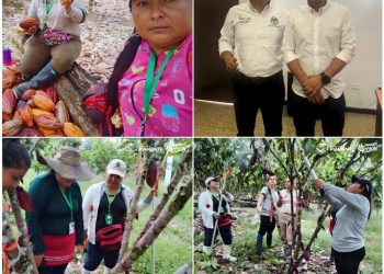 El Cacao: Semilla de Paz y Progreso en Piamonte