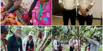 El Cacao: Semilla de Paz y Progreso en Piamonte