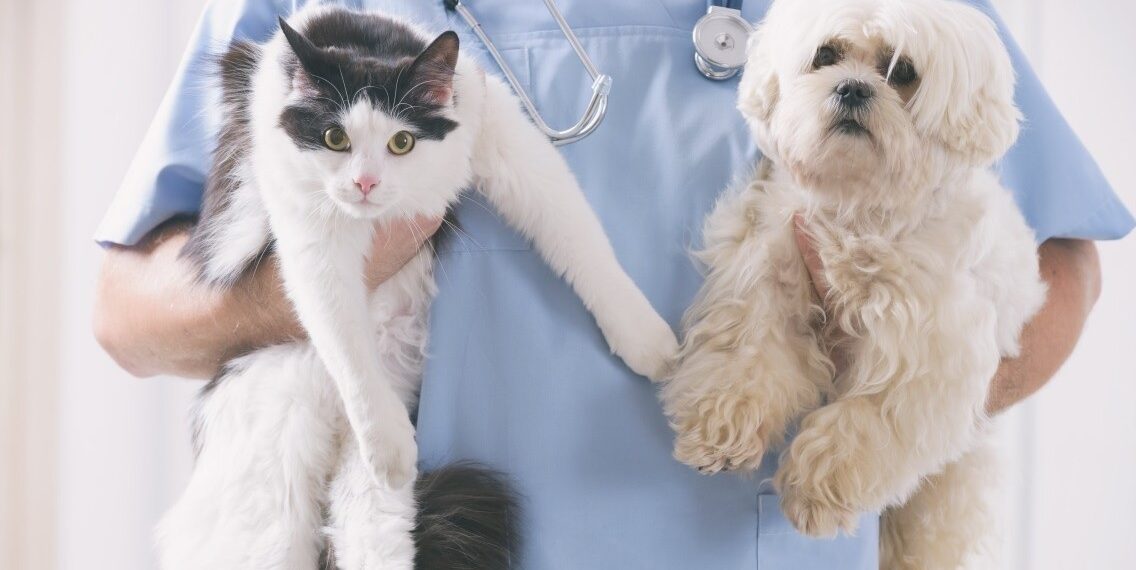 Esterilización en Colombia: Del activismo a la política pública técnica