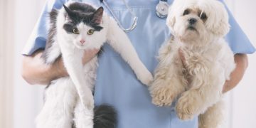 Esterilización en Colombia: Del activismo a la política pública técnica