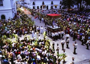 *Entre la prisa y la palma: El valor de pausar el Domingo de Ramos*
