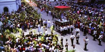 *Entre la prisa y la palma: El valor de pausar el Domingo de Ramos*