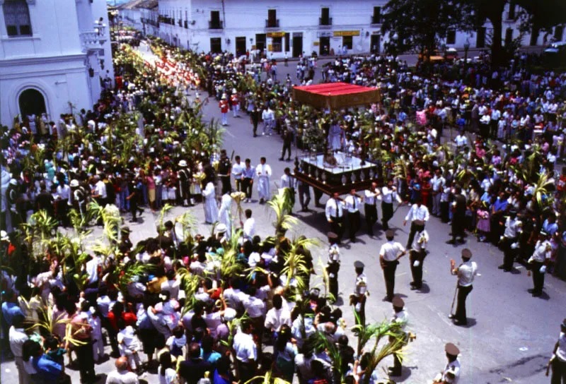 *Entre la prisa y la palma: El valor de pausar el Domingo de Ramos*