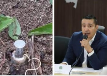 La Huella Indeleble: Cuando el Progreso se Topa con la Barbarie