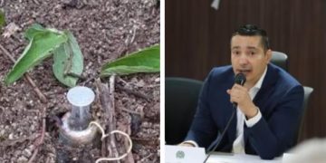 La Huella Indeleble: Cuando el Progreso se Topa con la Barbarie