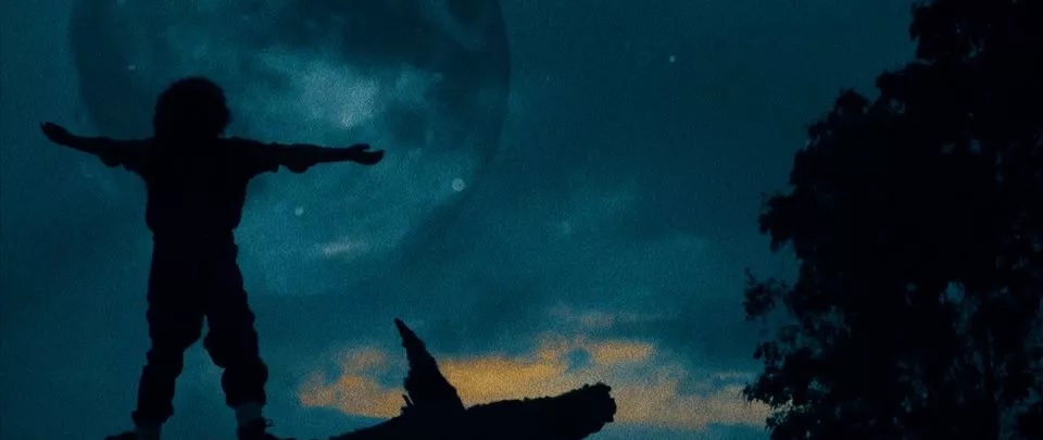 Entre el Olvido y la Esperanza: El Rostro Humano de Nuestra Realidad