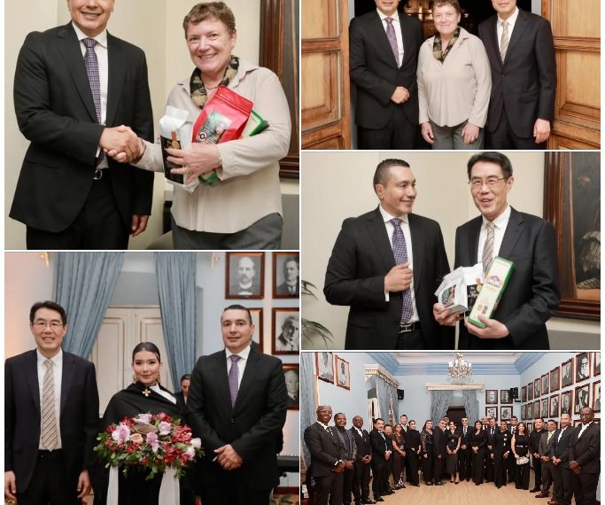 La Resiliencia de una Tierra que se Levanta: Reflexión sobre el mensaje de Octavio Guzmán