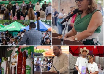 La Resiliencia como Motor: El Renacer del Empresariado Caucano